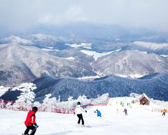Elf Resort Hotel - Pyeongchang