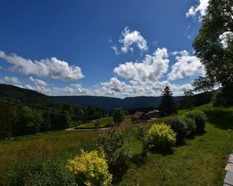 Chalet in Saulxures near Ski Resorts - Saulxures-sur-Moselotte - Vista del exterior