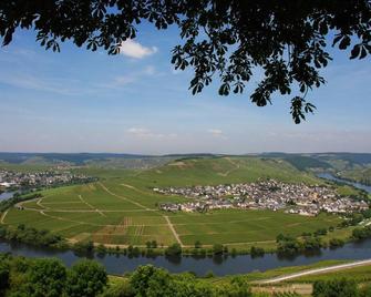 Gästehaus & Weingut Clüsserath-Weiler - Trittenheim