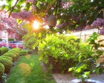 Taylor's Pharmacy Guesthouse - Fall River - Outdoors view