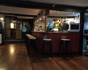 The Globe Inn - Buckfastleigh - Bar