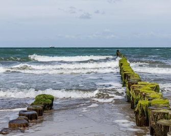 Villa Sonnenfrieden 01 - Ahrenshoop