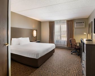 Econo Lodge Duluth near Miller Hill Mall - Duluth - Slaapkamer