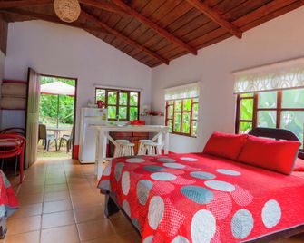 Selva Color - Forest & Beach Ecolodge - Jacó