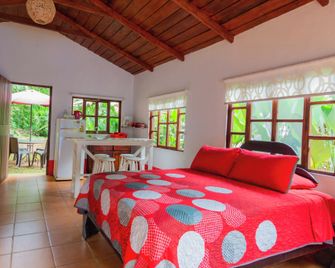 Selva Color - Forest & Beach Ecolodge - Jacó