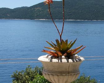Villa Planika - Slano - Outdoor view