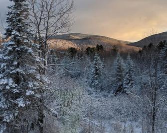 Upscale 4 Season Killington/Okemo Retreat with Hot Tub - Shrewsbury - Servicio de la propiedad