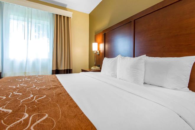 Comfort Suites C 107 C 1 7 4 Rochester Hotel Deals
