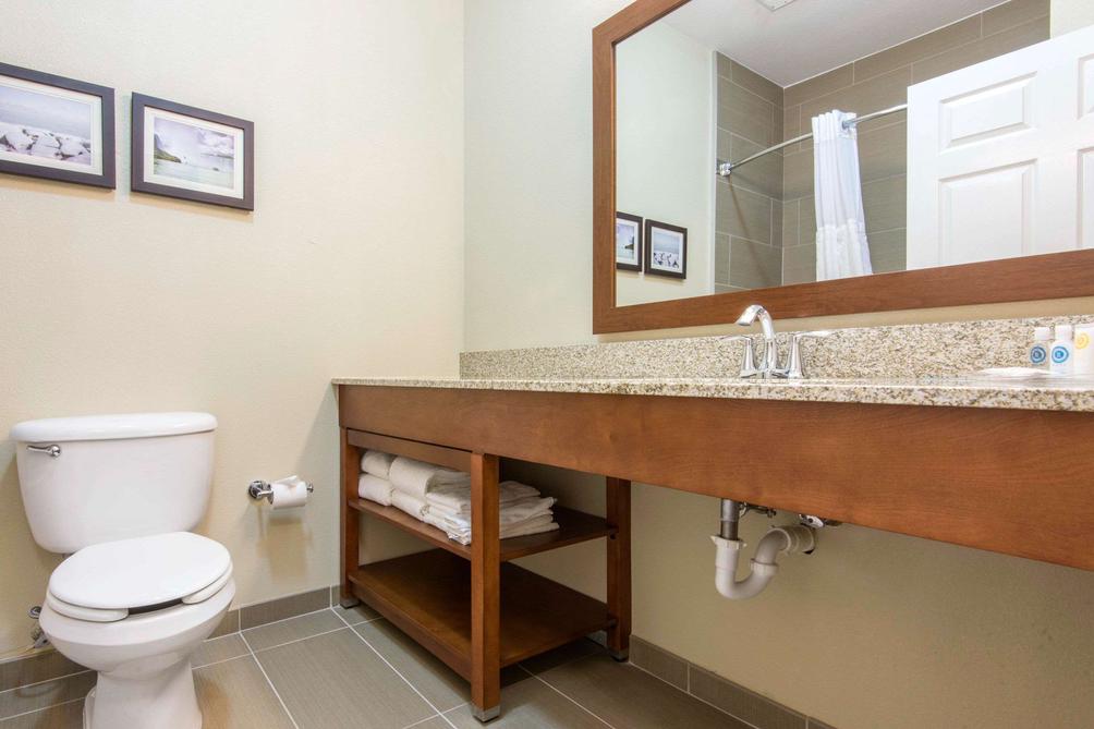 Comfort Suites C 107 C 1 7 4 Rochester Hotel Deals
