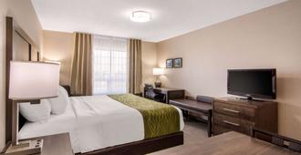 Comfort Inn & Suites Red Deer - Red Deer - Bedroom