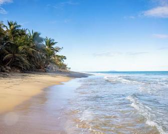 Pelican Reef Beachfront 2 Bed 1 Bath A/C On Small Farm, Surf Right Out Front - Aguada - Playa