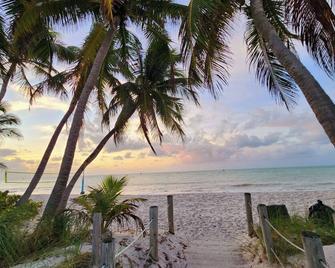 Botanical Island Delight - Key West - Plage