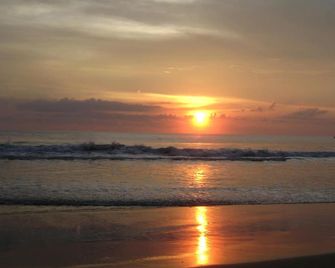 Jickys Nest - Varkala - Outdoor view