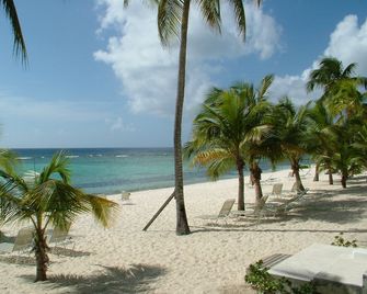 Vitamin Sea - Beachfront and ground floor at Coral Bay - Bodden Town - Beach