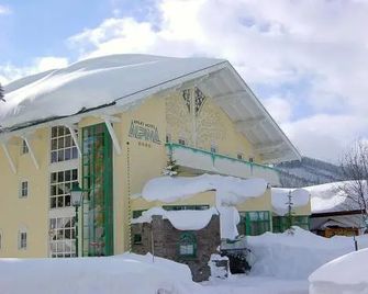 Aparthotel Alpina - Filzmoos - Building