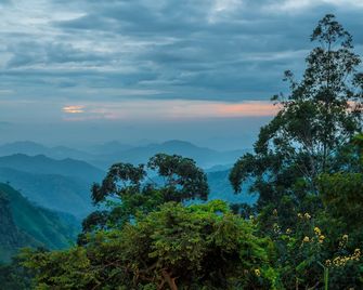 Ekho Ella - Ella - Outdoor view
