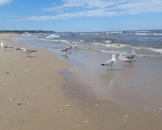 Haus Ines - Korswandt - Beach