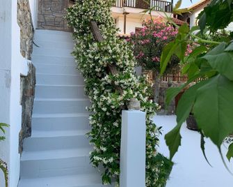 Beautiful Petrino 1880 - Agios Nikolaos - Escaleras