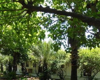 Armina Pension - Cirali - Outdoors view