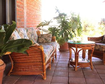 Las Orquideas - Guadalupe - Patio