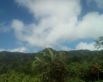Wale's Yard (Mango Tree Room) Good room to relax and enjoy nature. - Roseau
