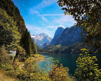 Gasthof Waldwirt - Rußbach am Pass Gschütt - Outdoor view