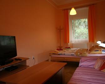 Apartment No. 12 Trziste 29 - Karlovy Vary - Habitación