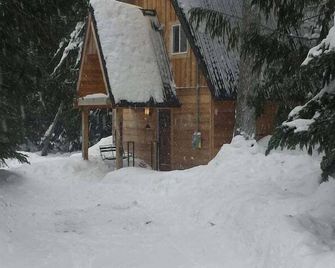 Amazing Government Camp Cabin Short Walk to SkiBowl or Downtown - Government Camp - Building