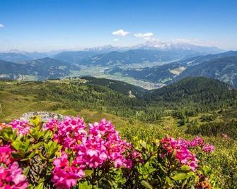 Ferienhaus Eva - Flachau - Outdoors view