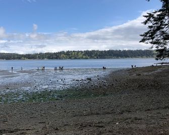 Water view high bank two bedroom private border Manchester State Park. - Port Orchard - Playa