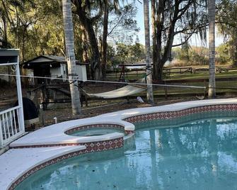 Adorable Lakefront Pool Cottage - Odessa - Басейн