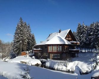 Schwarzwald Lodge Inselklause - Schönwald im Schwarzwald