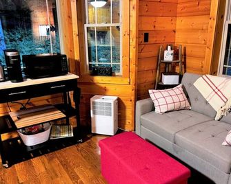 Wildcat Forest - a tiny cabin with lots of charm, by Buffalo Mountain Getaway - Meadows of Dan - Living room
