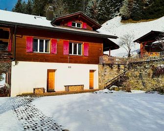 Chalet Sonnenhof Wengen - Wengen - Building