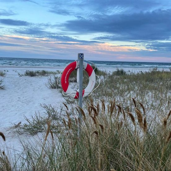 Holiday Bliss By Forest And Bornholms Top Beach – Nexø