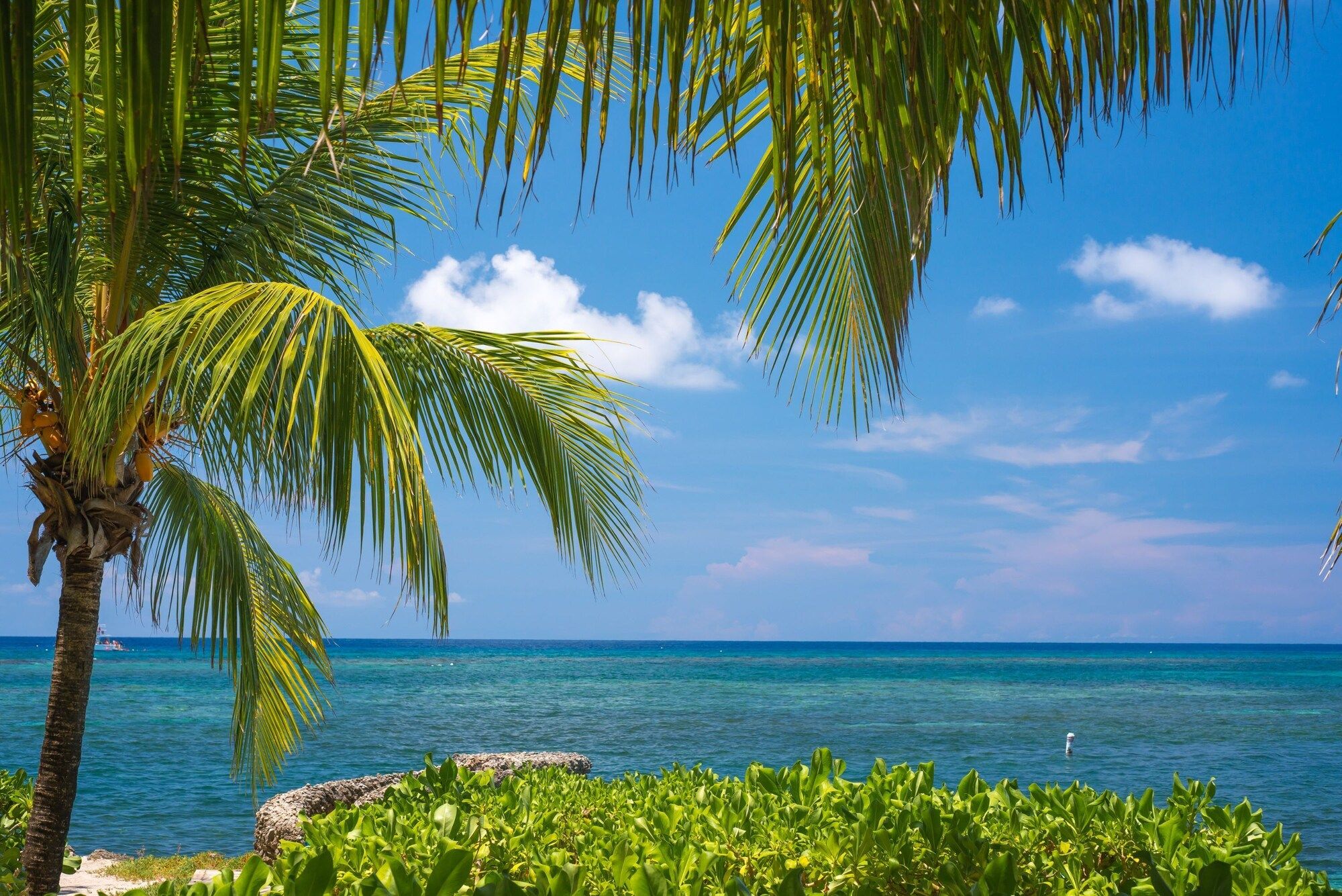 Las Rocas Resort And Dive Center