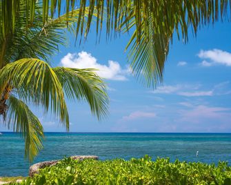 Las Rocas Resort And Dive Center - Coxen Hole - Playa