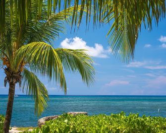 Las Rocas Resort And Dive Center - Coxen Hole - Strand