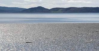 Broomlea - Inverness - Beach