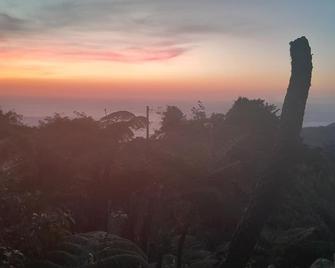 Cozy studio apartments with beautiful garden and ocean view. Self contained. - Giraudel - Außenansicht