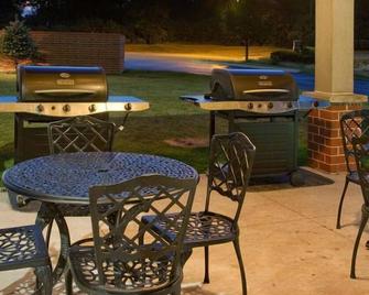 Suite Life in Naperville's Prime Location! W/ Private Full Kitchen! Pets Allowed - Warrenville - Binnenhof