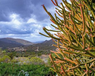 Private Home On 10 Acres - Heated Salt Pool & Jacuzzi, Mountain & City Views, Horseshoes, Basketball, Bbq, Golf Putting, Foosball, Croquet, Bose Stereo, White Cotton Bedding - Hilltop Hacienda, Pool Heat Optional - Jamul - Vista del exterior