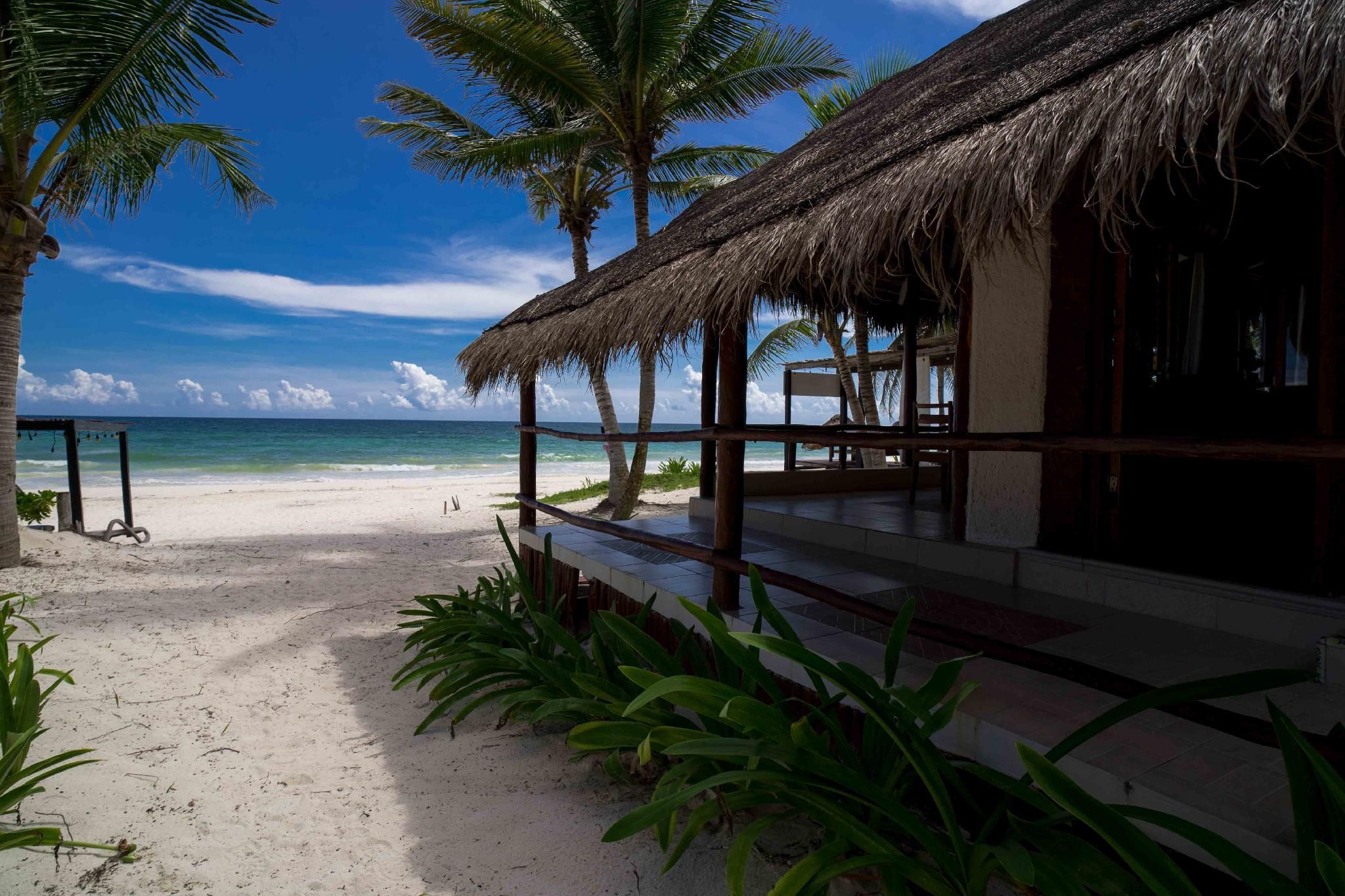 بي تي لايف تولوم لوكيتيد آت ذا بارتي زون