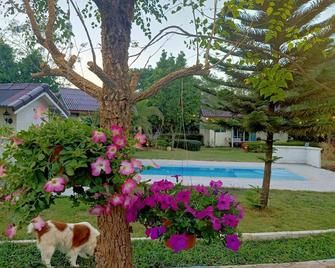 Les Collines Khaoyai Resort - Ban Khanong Phra Nua - Piscina