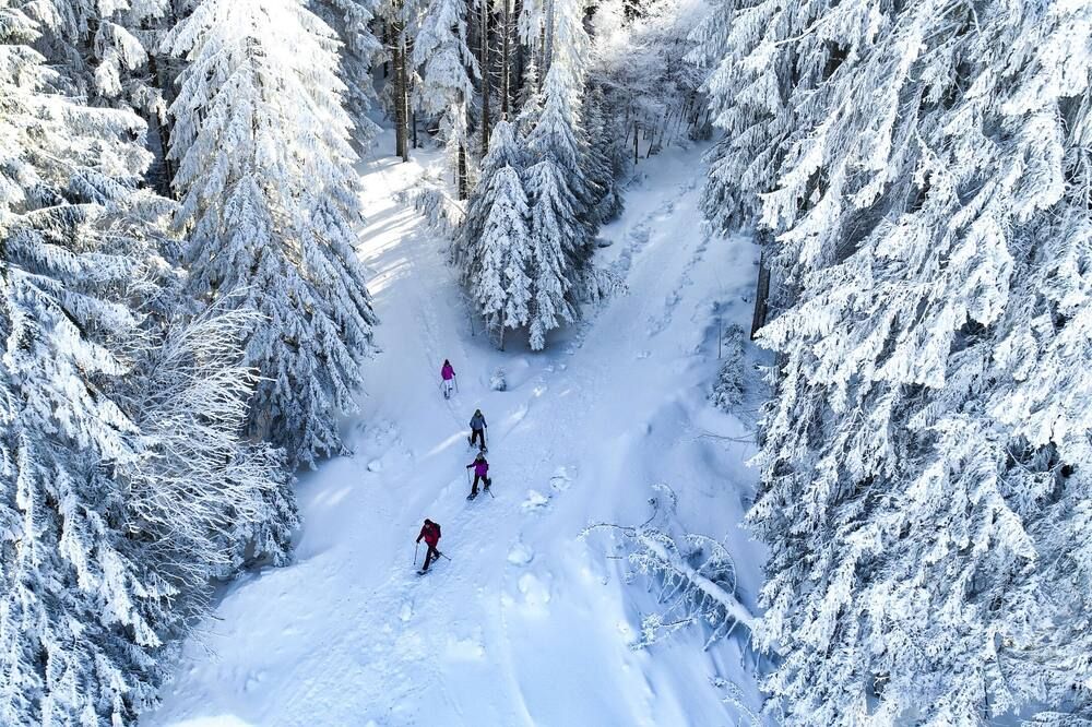 Nature Titisee - Easy.Life.Hotel. - Titisee-Neustadt
