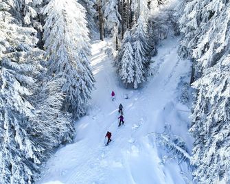 Nature Titisee - Easy.Life.Hotel. - Titisee-Neustadt