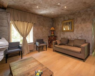 Magnificent Manor in Vresse-Sur-Semois with Sauna - Vresse Sur Semois - Living room
