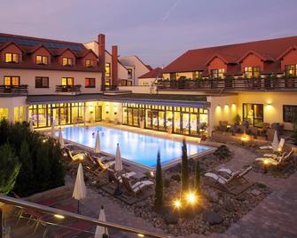 Ringhotel Hotel Zum Stein - Wörlitz - Pool