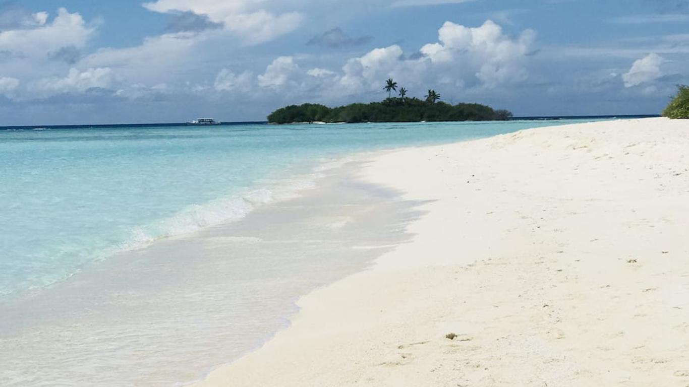 White Coral Rasdhoo