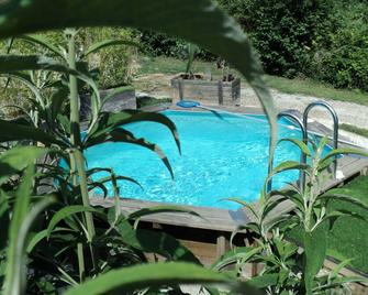 Shed Studio With Private Pool - Sillans-la-Cascade - Piscina